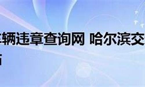 哈尔滨车辆违章查询_哈尔滨车辆违章查询官方网